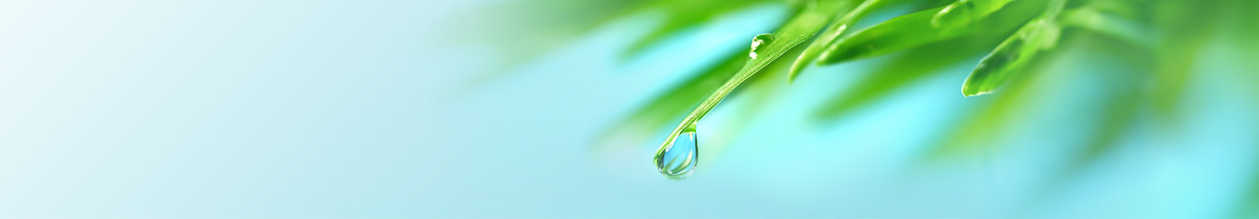 Lawn Sprinklers