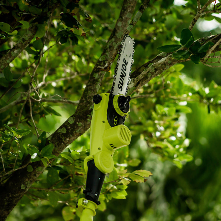 Sun Joe 24-volt cordless telescoping pole 10-inch chainsaw being used to cut a branch off a tree.