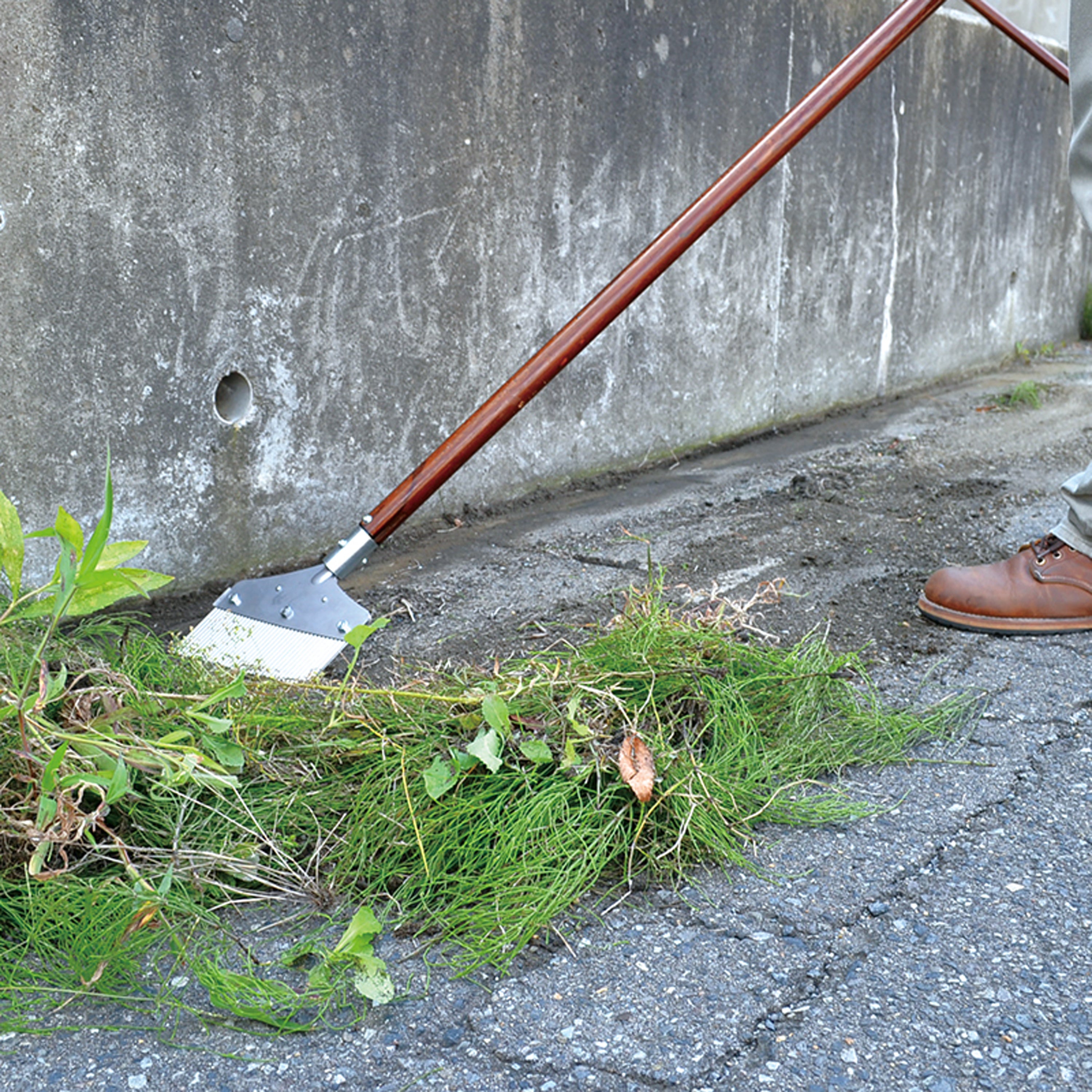 Nisaku Zassou Burush Obake 7.25-inch Stainless Steel Weed Sweeper being used to sweep weeds from a driveway.
