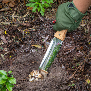 Nisaku Limited Edition Stainless Steel Weeding Knife with a 7.25-inch blade and inch markings being dug into the ground.